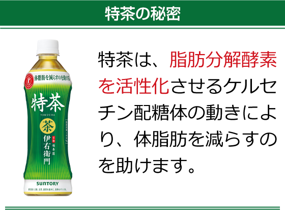特茶の秘密　特茶は、脂肪分解酵素を活性化させるケルセチン配糖体の動きにより、体脂肪を減らすのを助けます。