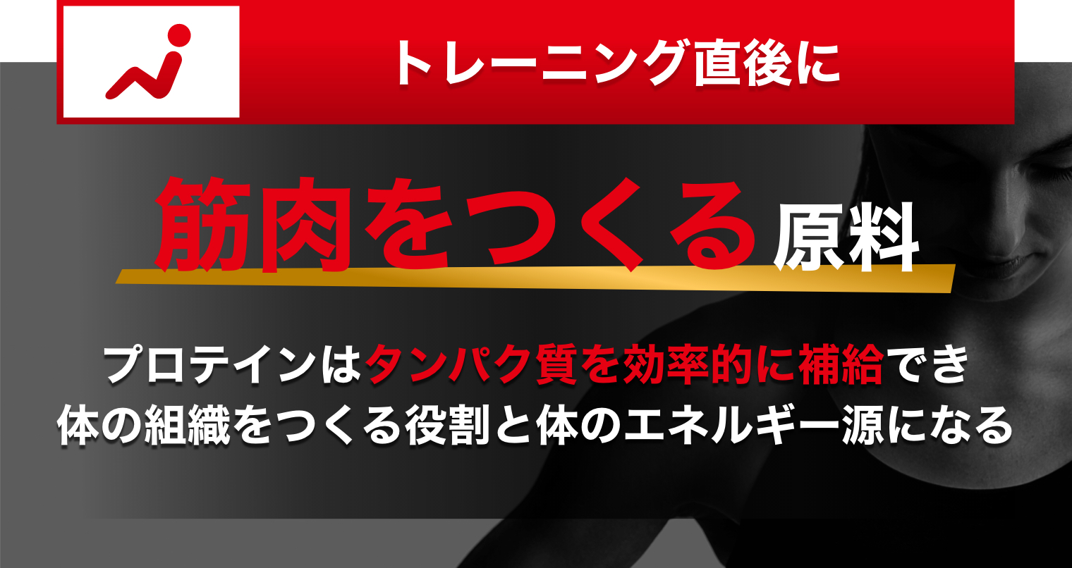 トレーニング直後に筋肉をつくる原料 プロテインはタンパク質を効率的に補給でき体の組織をつくる役割と体のエネルギー源になる