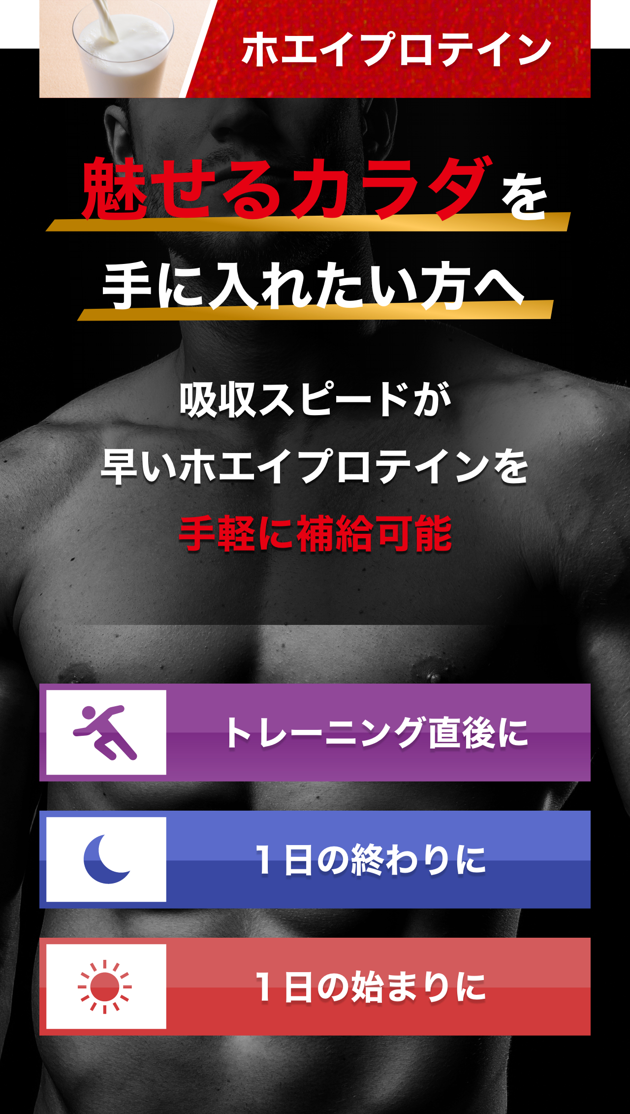 ホエイプロテイン 魅せるカラダを手に入れたい方へ 吸収スピードが早いホエイプロテインを手軽に補給可能