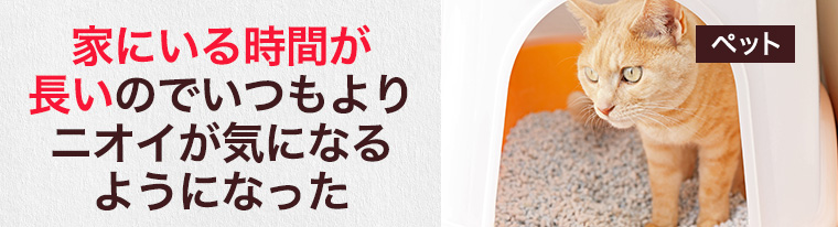 家にいる時間が長いのでいつもよりニオイが気になるようになった