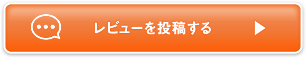 レビューを投稿する