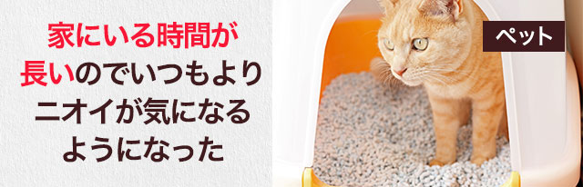 家にいる時間が長いのでいつもよりニオイが気になるようになった