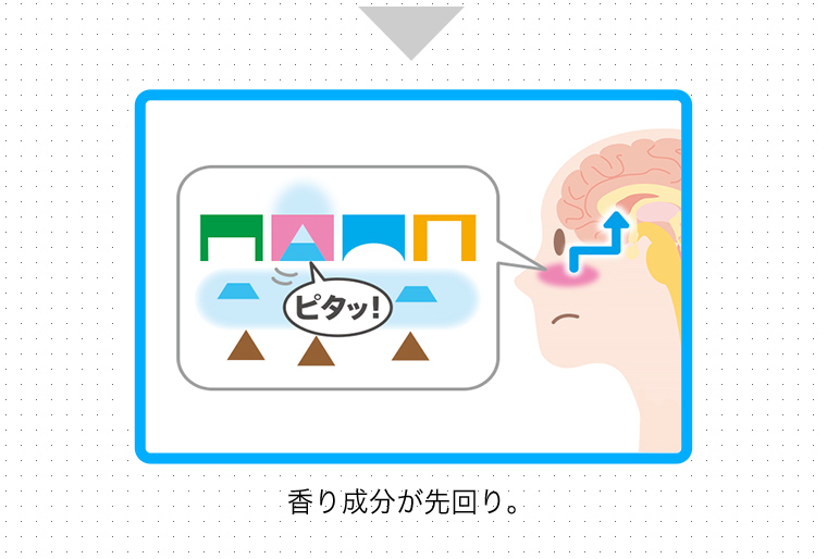 香り成分が先回り。