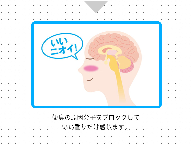 便臭の原因分子をブロックしていい香りだけ感じます。