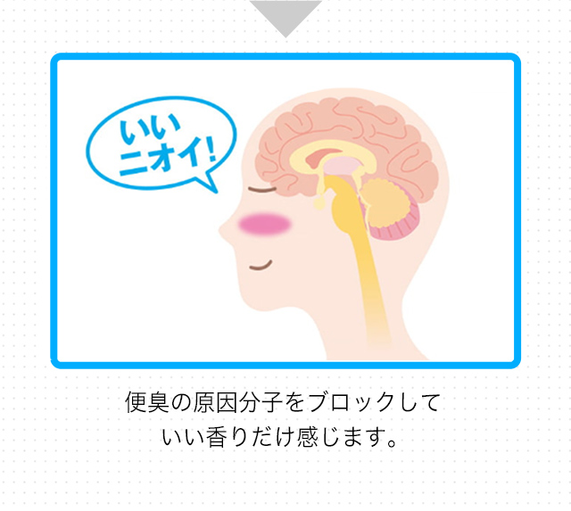 便臭の原因分子をブロックしていい香りだけ感じます。