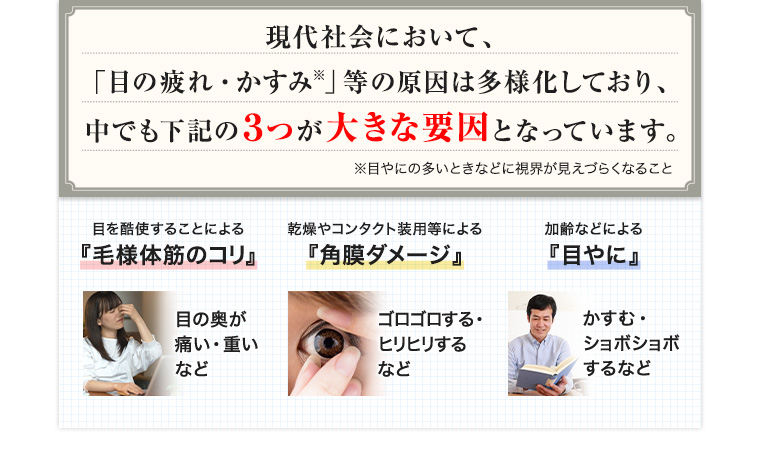 現代社会において「目の疲れ・かすみ」等の原因は多様化しており、中でも下記の3つが大きな要因となっています。