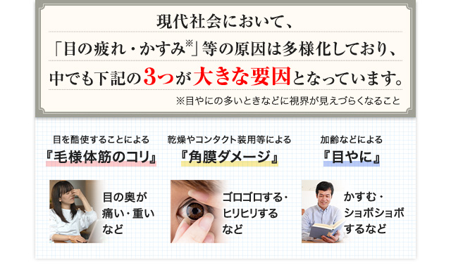 現代社会において「目の疲れ・かすみ」等の原因は多様化しており、中でも下記の3つが大きな要因となっています。