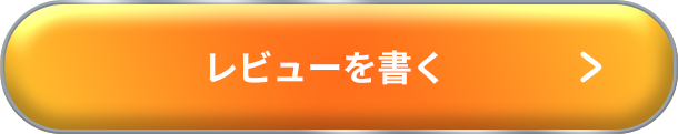レビューを書く