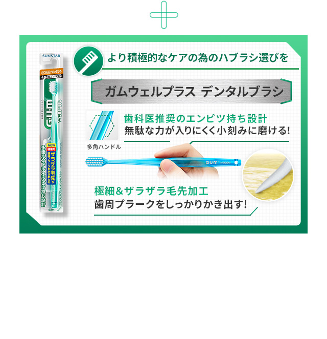 ＋より積極的なケアの為のハブラシ選びを ガムウェルプラス デンタルブラシ