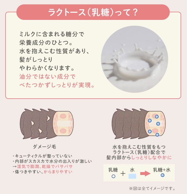 水を抱えこむ性質をもつラクトース（乳糖）配合で 髪内部からしっとりしなやかに