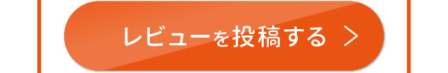 レビューを投稿する