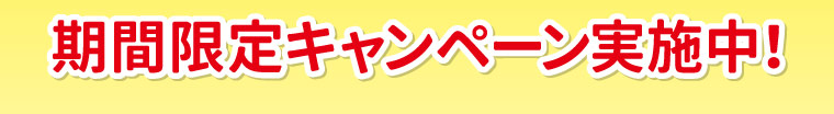 期間限定キャンペーン実施中！