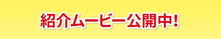 紹介ムービー公開中！
