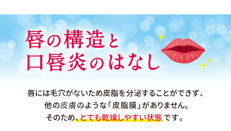 唇の構造と口唇炎のはなし　唇には毛穴がないため皮脂を分泌することができず、他の皮膚のような「皮脂膜」がありません。そのため、とても乾燥しやすい状態です。
