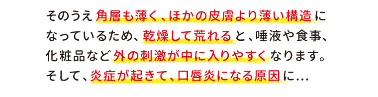 そのうえ角層も薄く、ほかの皮膚より薄い構造になっているため、乾燥して荒れると、唾液や食事、 化粧品など外の刺激が中に入りやすくなります。 そして、炎症が起きて、口唇炎になる原因に...