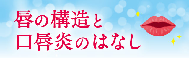 唇の構造と口唇炎のはなし