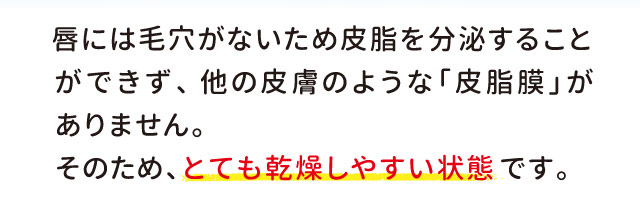 唇には毛穴がないため皮脂を分泌することができず、他の皮膚のような「皮脂膜」がありません。そのため、とても乾燥しやすい状態です。