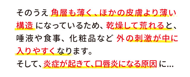 そのうえ角層も薄く、ほかの皮膚より薄い構造になっているため、乾燥して荒れると、唾液や食事、 化粧品など外の刺激が中に入りやすくなります。 そして、炎症が起きて、口唇炎になる原因に...