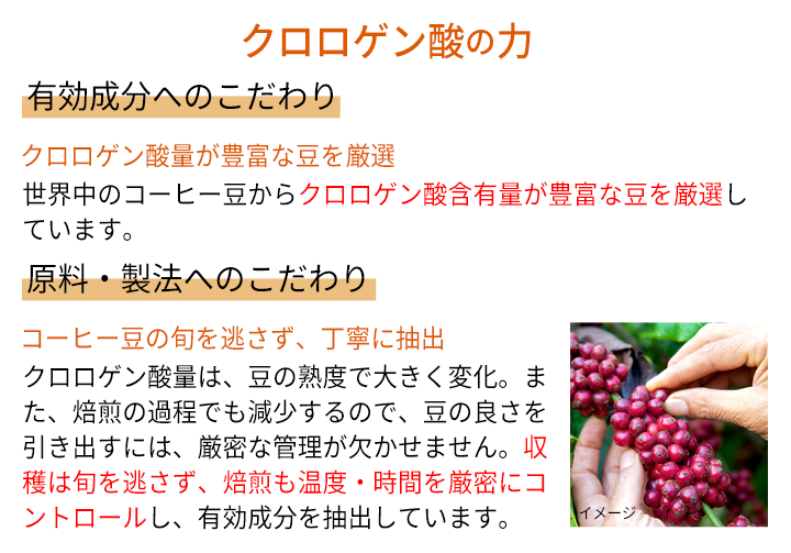 クロロゲン酸の力　有効成分へのこだわり 原料・製法へのこだわり