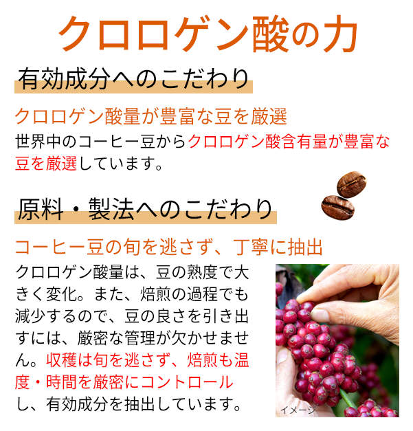 クロロゲン酸の力　有効成分へのこだわり 原料・製法へのこだわり