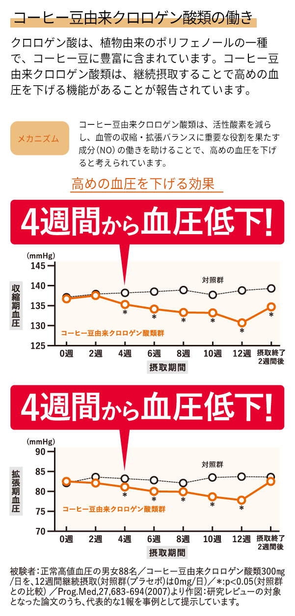 コーヒー豆由来クロロゲン酸類の働き