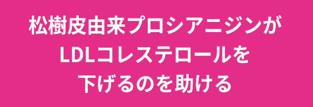松樹皮由来プロシアニジンが高めのLDLコレステロールを下げるのを助ける
