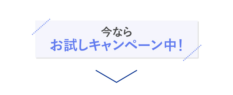今ならお試しキャンペーン中！