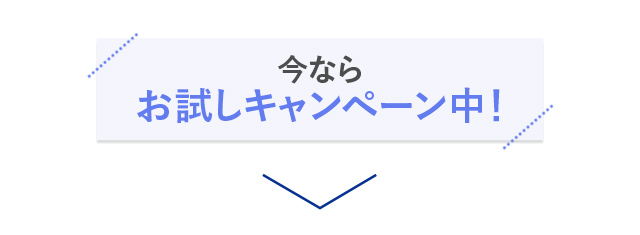 今ならお試しキャンペーン中！