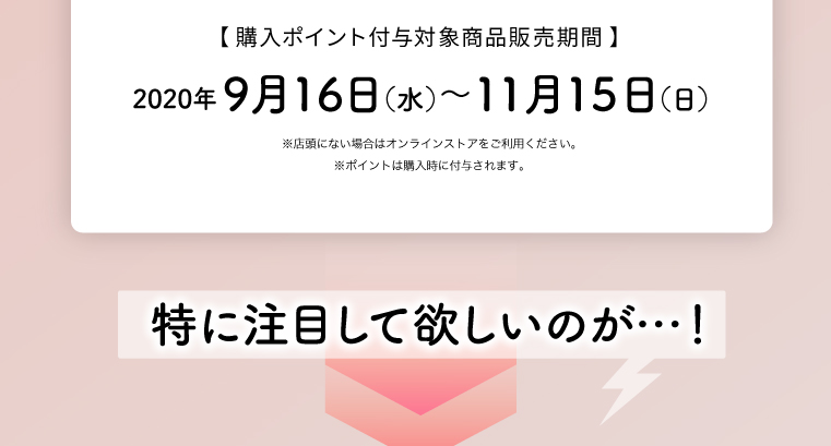 販売期間