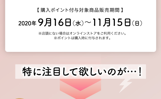 販売期間