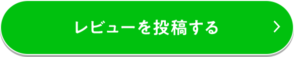 レビューを投稿する