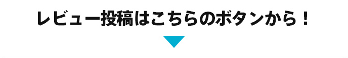 レビュー投稿はこちらのボタンから