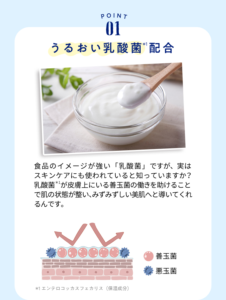 ダイアンボタニカル キャンペーン