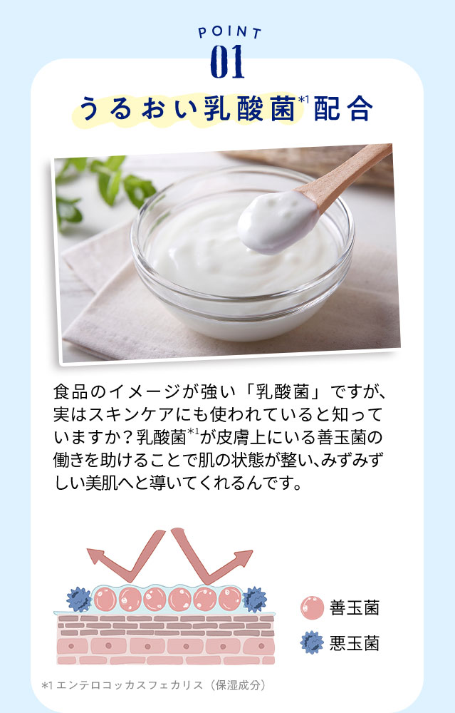 ダイアンボタニカル キャンペーン
