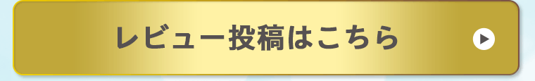 レビュー投稿はこちら