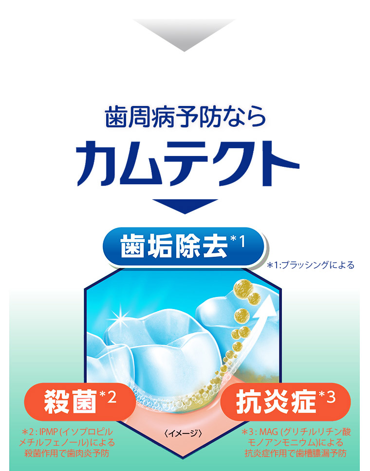 歯周病予防ならカムテクト 歯垢除去＊1 ＊1:ブラッシングによる 殺菌＊2 ＊2:IPMP(イソプロピルメチルフェノール)による 抗炎症＊3 ＊3:MAG(グリチルリチン酸モノアンモニウム)による