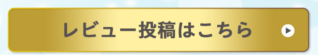 レビュー投稿はこちら