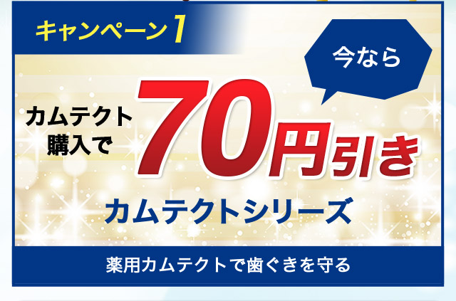 キャンペーン1 今ならカムテクト購入で 70円引き カムテクトシリーズ 薬用カムテクトで歯ぐきを守る