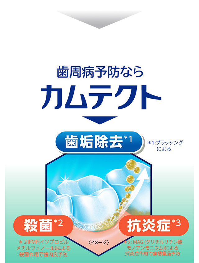 歯周病予防ならカムテクト 歯垢除去＊1 ＊1:ブラッシングによる 殺菌＊2 ＊2:IPMP(イソプロピルメチルフェノール)による 抗炎症＊3 ＊3:MAG(グリチルリチン酸モノアンモニウム)による