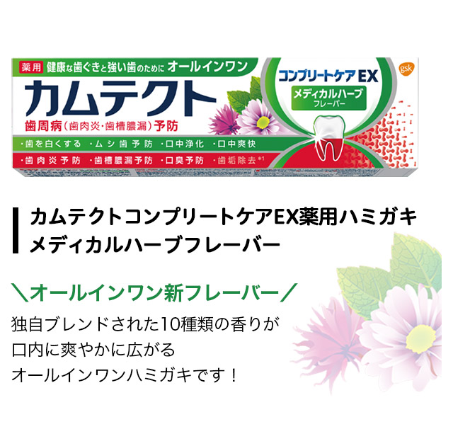 カムテクトコンプリートケアEX薬用ハミガキメディカルハーブフレーバー