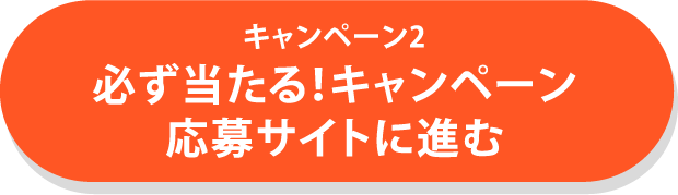 キャンペーン2 必ず当たる！キャンペーン 応募サイトに進む