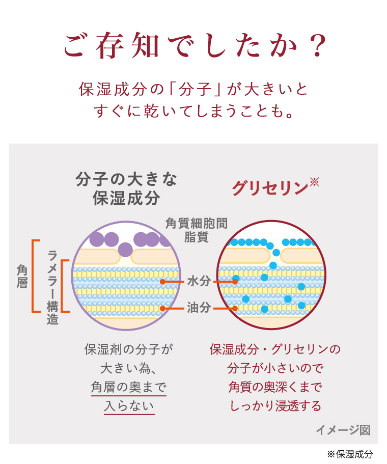 ご存知でしたか？保湿成分の「分子」が大きいとすぐに乾いてしまうこと