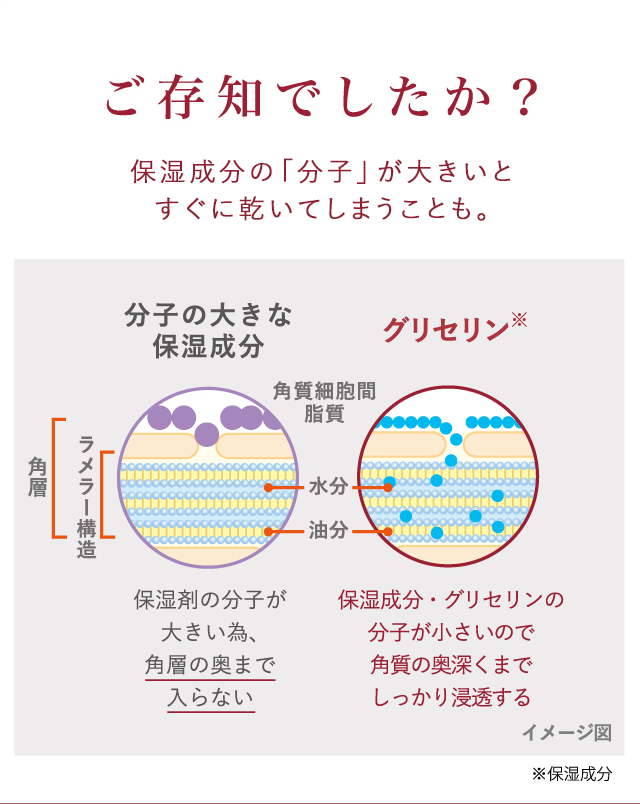 ご存知でしたか？保湿成分の「分子」が大きいとすぐに乾いてしまうこと