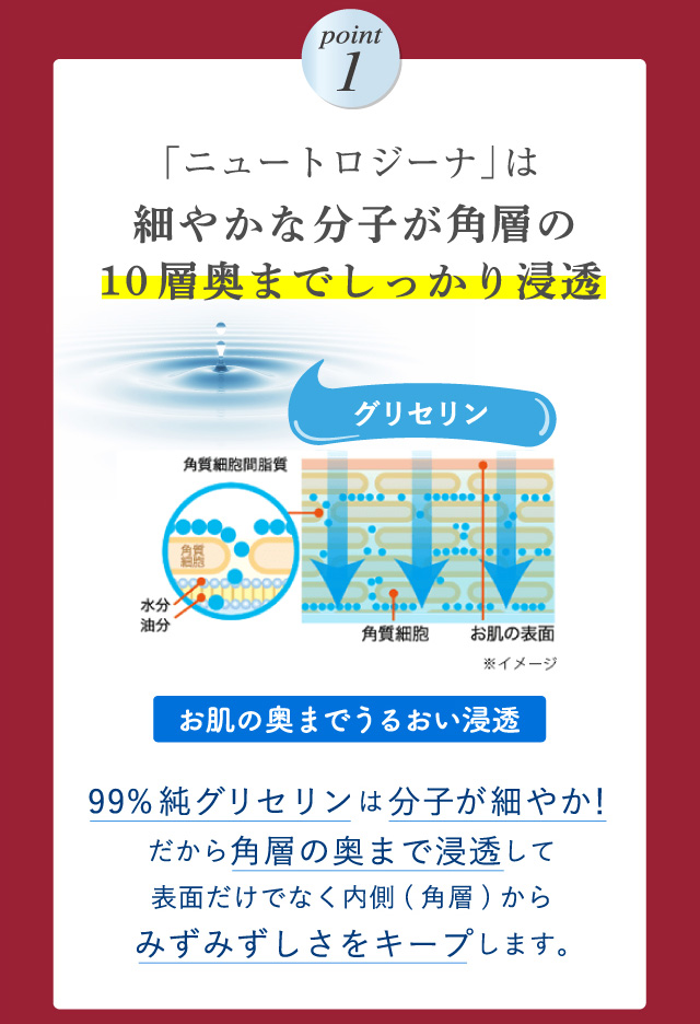 【ポイント1】「ニュートロジーナ」は細やかな分子が角層の10層奥までしっかり浸透