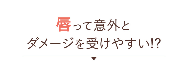 唇って意外とダメージを受けやすい！？