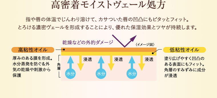高密着モイストヴェール処方