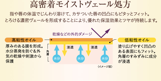 高密着モイストヴェール処方