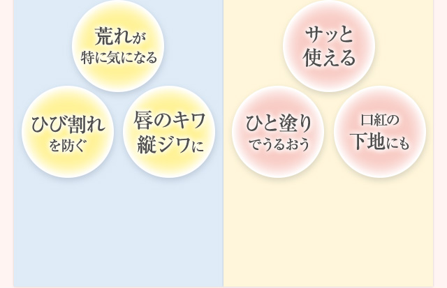 荒れが特に気になる ひび割れを防ぐ 唇のキワ縦ジワに サッと使える ひと塗りでうるおう 口紅の下地にも
