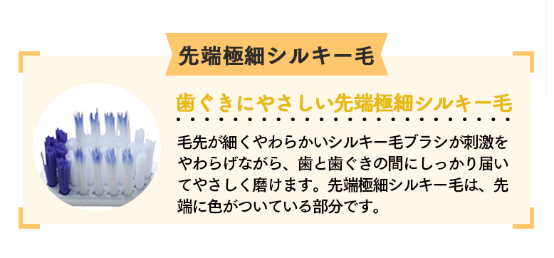 先端極細シルキー毛 歯ぐきにやさしい先端極細シルキー毛 毛先が細くやわらかいシルキー毛ブラシが刺激をやわらげながら、歯と歯ぐきの間にしっかり届いてやさしく磨けます。先端極細シルキー毛は、先端に色がついている部分です。