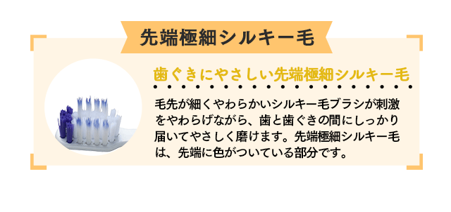 先端極細シルキー毛 歯ぐきにやさしい先端極細シルキー毛 毛先が細くやわらかいシルキー毛ブラシが刺激をやわらげながら、歯と歯ぐきの間にしっかり届いてやさしく磨けます。先端極細シルキー毛は、先端に色がついている部分です。